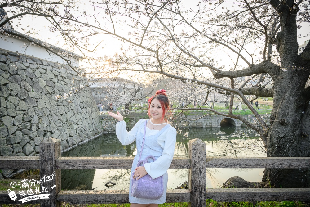 【2025福岡櫻花景點推薦】TOP6九州賞櫻景點攻略.舞鶴公園.大濠公園&太宰府櫻花盛開好迷人!