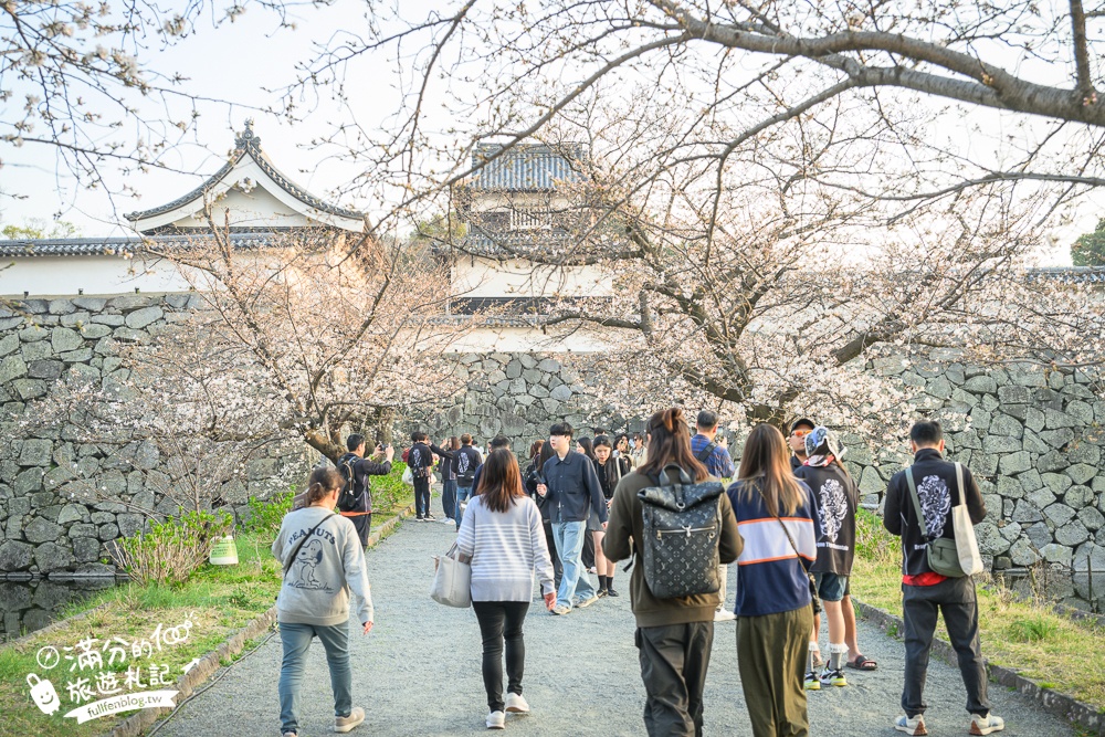 【2025福岡櫻花景點推薦】TOP6九州賞櫻景點攻略.舞鶴公園.大濠公園&太宰府櫻花盛開好迷人!