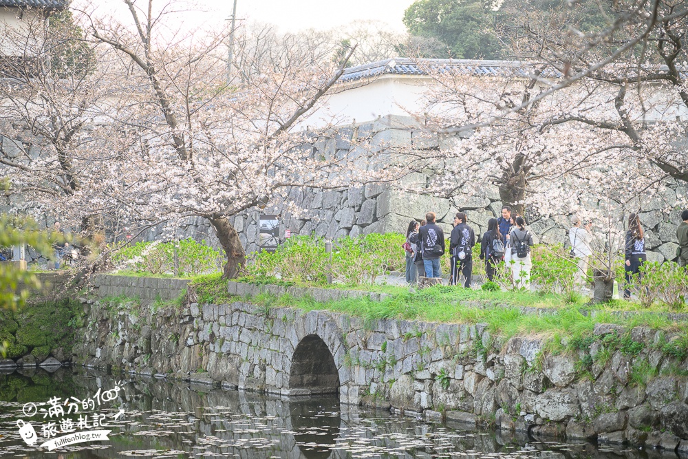 【2025福岡櫻花景點推薦】TOP6九州賞櫻景點攻略.舞鶴公園.大濠公園&太宰府櫻花盛開好迷人!