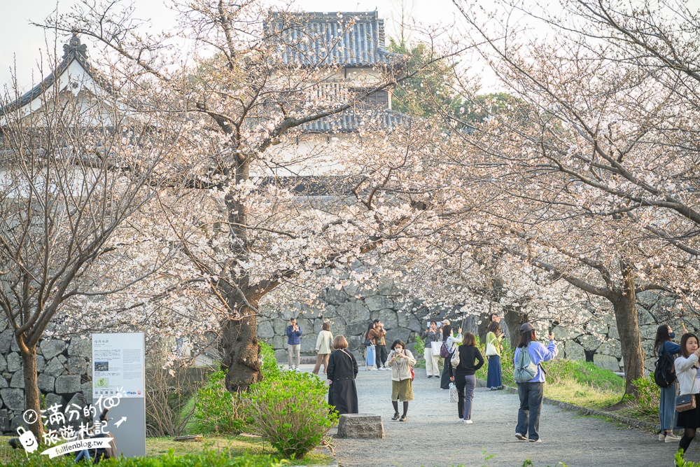 【2025福岡櫻花景點推薦】TOP6九州賞櫻景點攻略.舞鶴公園.大濠公園&太宰府櫻花盛開好迷人!