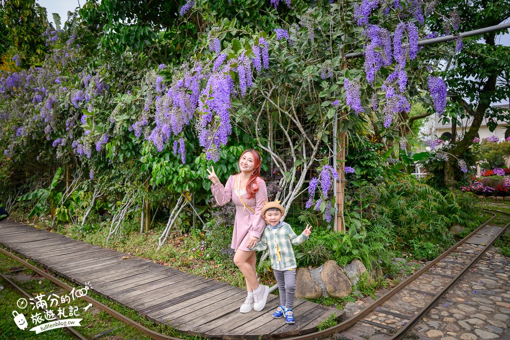 【2026花露農場】最新繡球花火車,苗栗最美雨林部落.繡球花園.波波草海.精油城堡,貓頭鷹樹屋童趣十足! 【2026花露農場】最新繡球花火車,苗栗最美雨林部落.繡球花園.波波草海.精油城堡,貓頭鷹樹屋童趣十足!