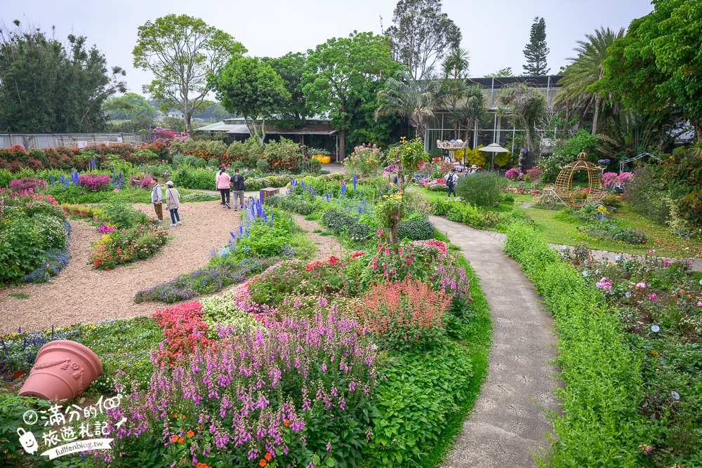 【2026花露農場】最新繡球花火車,苗栗最美雨林部落.繡球花園.波波草海.精油城堡,貓頭鷹樹屋童趣十足! 【2026花露農場】最新繡球花火車,苗栗最美雨林部落.繡球花園.波波草海.精油城堡,貓頭鷹樹屋童趣十足!