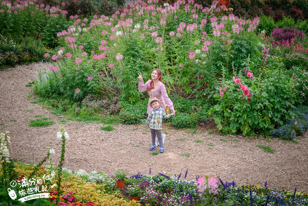 【2026花露農場】最新繡球花火車,苗栗最美雨林部落.繡球花園.波波草海.精油城堡,貓頭鷹樹屋童趣十足! 【2026花露農場】最新繡球花火車,苗栗最美雨林部落.繡球花園.波波草海.精油城堡,貓頭鷹樹屋童趣十足!