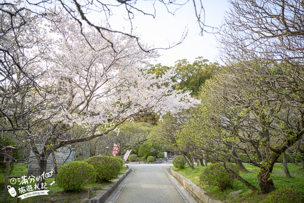 【2025福岡櫻花景點推薦】TOP6九州賞櫻景點攻略.舞鶴公園.大濠公園&太宰府櫻花盛開好迷人!