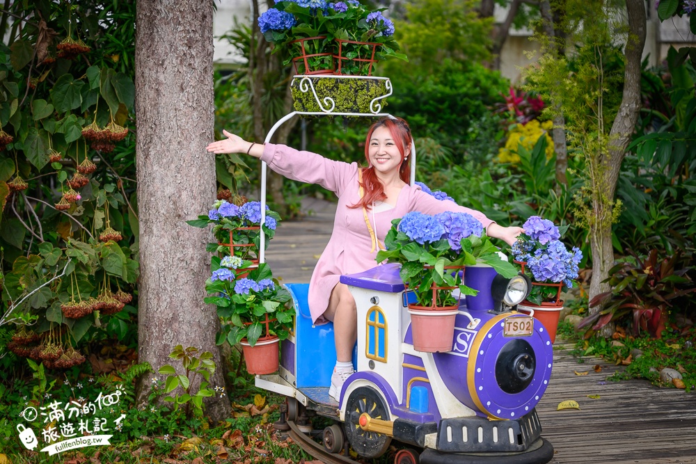 【2026花露農場】最新繡球花火車,苗栗最美雨林部落.繡球花園.波波草海.精油城堡,貓頭鷹樹屋童趣十足! 【2026花露農場】最新繡球花火車,苗栗最美雨林部落.繡球花園.波波草海.精油城堡,貓頭鷹樹屋童趣十足!
