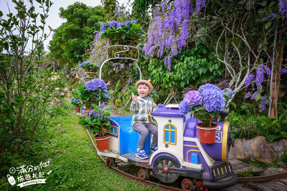【2026花露農場】最新繡球花火車,苗栗最美雨林部落.繡球花園.波波草海.精油城堡,貓頭鷹樹屋童趣十足! 【2026花露農場】最新繡球花火車,苗栗最美雨林部落.繡球花園.波波草海.精油城堡,貓頭鷹樹屋童趣十足!