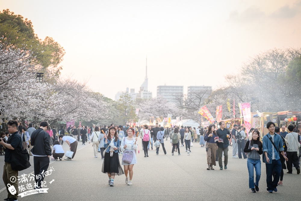 【2025福岡櫻花景點推薦】TOP6九州賞櫻景點攻略.舞鶴公園.大濠公園&太宰府櫻花盛開好迷人!