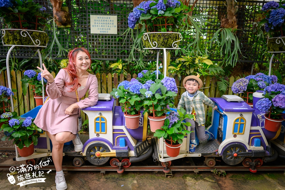 【2026花露農場】最新繡球花火車,苗栗最美雨林部落.繡球花園.波波草海.精油城堡,貓頭鷹樹屋童趣十足! 【2026花露農場】最新繡球花火車,苗栗最美雨林部落.繡球花園.波波草海.精油城堡,貓頭鷹樹屋童趣十足!