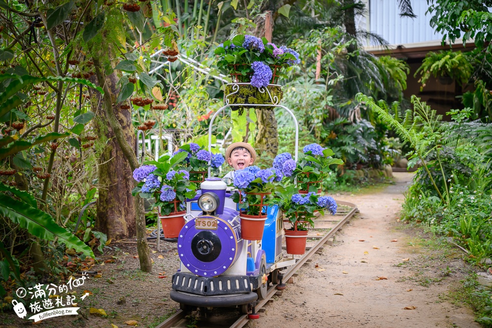 【2026花露農場】最新繡球花火車,苗栗最美雨林部落.繡球花園.波波草海.精油城堡,貓頭鷹樹屋童趣十足! 【2026花露農場】最新繡球花火車,苗栗最美雨林部落.繡球花園.波波草海.精油城堡,貓頭鷹樹屋童趣十足!