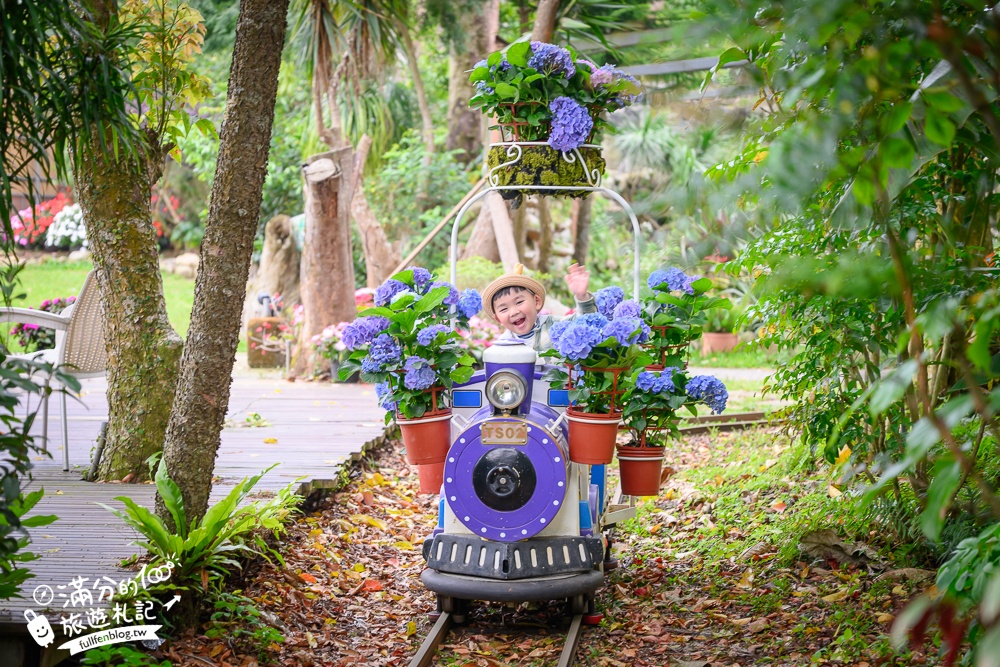 【2026花露農場】最新繡球花火車,苗栗最美雨林部落.繡球花園.波波草海.精油城堡,貓頭鷹樹屋童趣十足! 【2026花露農場】最新繡球花火車,苗栗最美雨林部落.繡球花園.波波草海.精油城堡,貓頭鷹樹屋童趣十足!