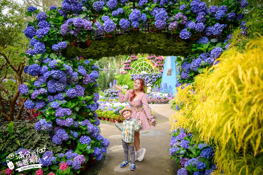【2026花露農場】最新繡球花火車,苗栗最美雨林部落.繡球花園.波波草海.精油城堡,貓頭鷹樹屋童趣十足! 【2026花露農場】最新繡球花火車,苗栗最美雨林部落.繡球花園.波波草海.精油城堡,貓頭鷹樹屋童趣十足!