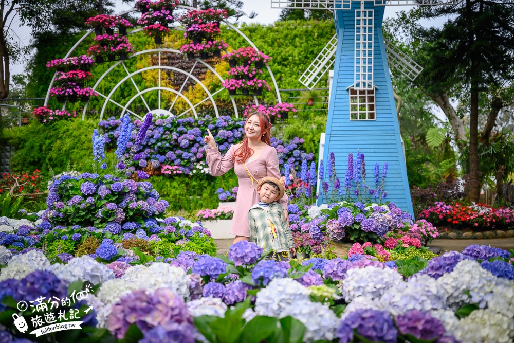 【2026花露農場】最新繡球花火車,苗栗最美雨林部落.繡球花園.波波草海.精油城堡,貓頭鷹樹屋童趣十足! 【2026花露農場】最新繡球花火車,苗栗最美雨林部落.繡球花園.波波草海.精油城堡,貓頭鷹樹屋童趣十足!