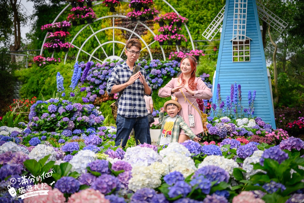 【2026花露農場】最新繡球花火車,苗栗最美雨林部落.繡球花園.波波草海.精油城堡,貓頭鷹樹屋童趣十足! 【2026花露農場】最新繡球花火車,苗栗最美雨林部落.繡球花園.波波草海.精油城堡,貓頭鷹樹屋童趣十足!