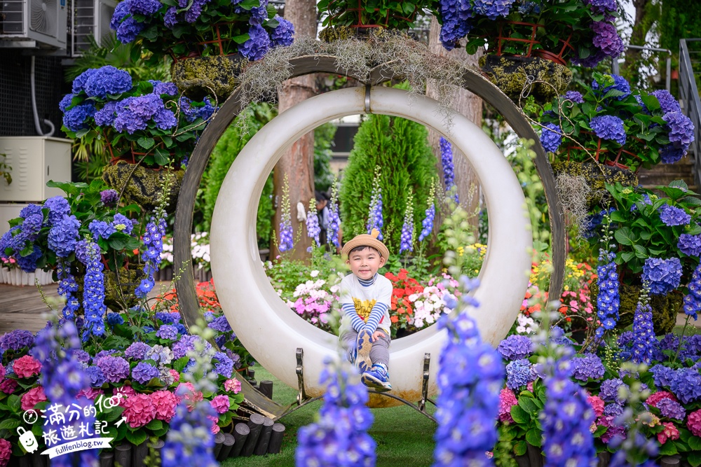 【2026花露農場】最新繡球花火車,苗栗最美雨林部落.繡球花園.波波草海.精油城堡,貓頭鷹樹屋童趣十足! 【2026花露農場】最新繡球花火車,苗栗最美雨林部落.繡球花園.波波草海.精油城堡,貓頭鷹樹屋童趣十足!