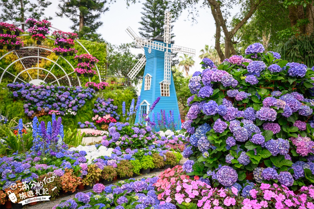 【2026花露農場】最新繡球花火車,苗栗最美雨林部落.繡球花園.波波草海.精油城堡,貓頭鷹樹屋童趣十足! 【2026花露農場】最新繡球花火車,苗栗最美雨林部落.繡球花園.波波草海.精油城堡,貓頭鷹樹屋童趣十足!