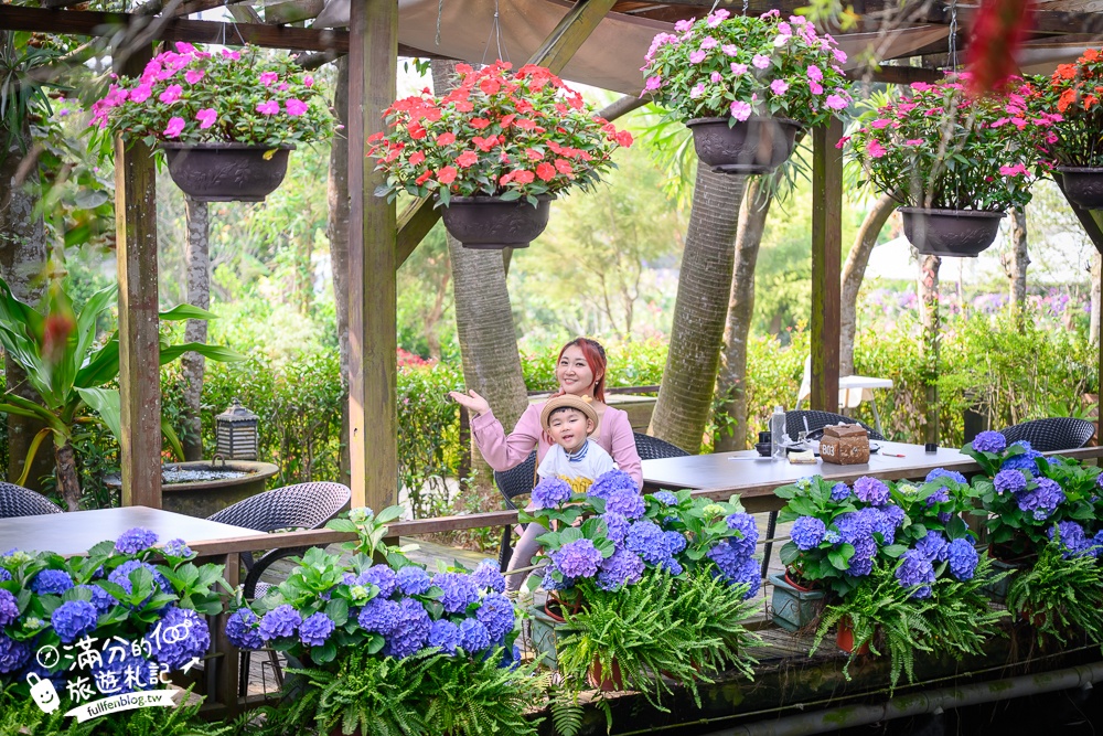 【2026花露農場】最新繡球花火車,苗栗最美雨林部落.繡球花園.波波草海.精油城堡,貓頭鷹樹屋童趣十足! 【2026花露農場】最新繡球花火車,苗栗最美雨林部落.繡球花園.波波草海.精油城堡,貓頭鷹樹屋童趣十足!