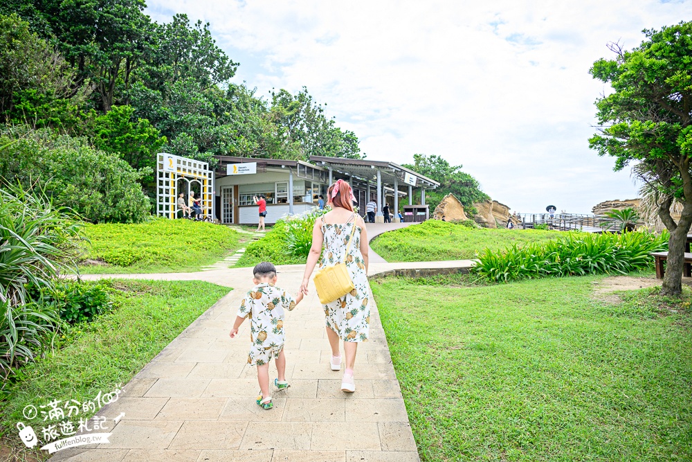 【2025野柳地質公園】最新門票資訊＆玩樂攻略.萬里必拍野柳女王頭,鬼斧神功~大自然的手作藝術品!