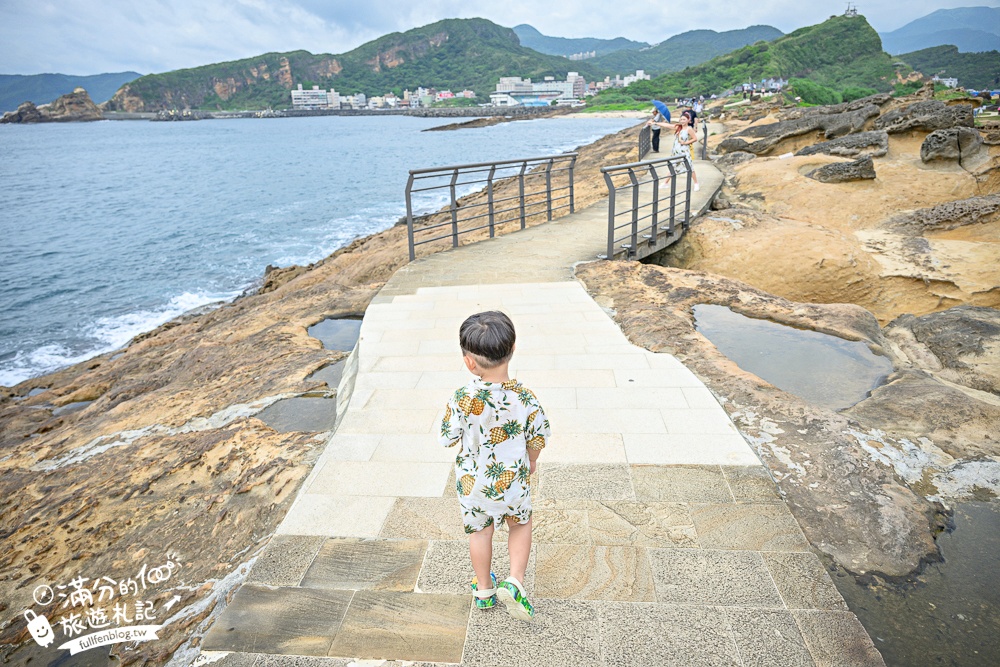 【2025野柳地質公園】最新門票資訊＆玩樂攻略.萬里必拍野柳女王頭,鬼斧神功~大自然的手作藝術品!