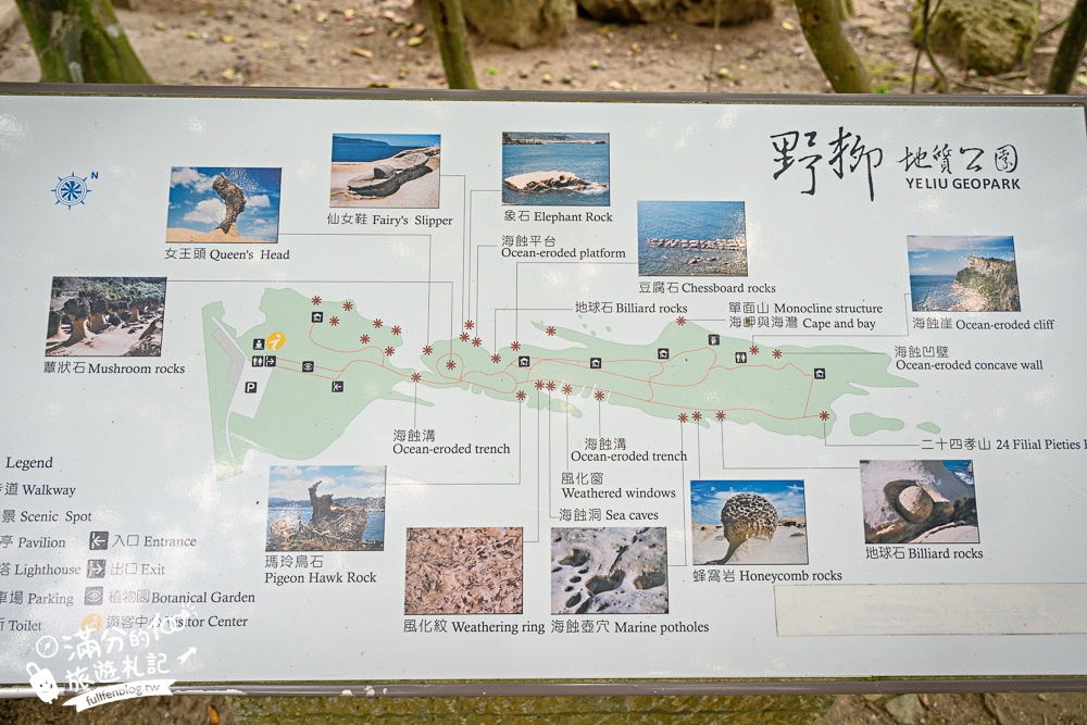 【2025野柳地質公園】最新門票資訊＆玩樂攻略.萬里必拍野柳女王頭,鬼斧神功~大自然的手作藝術品!