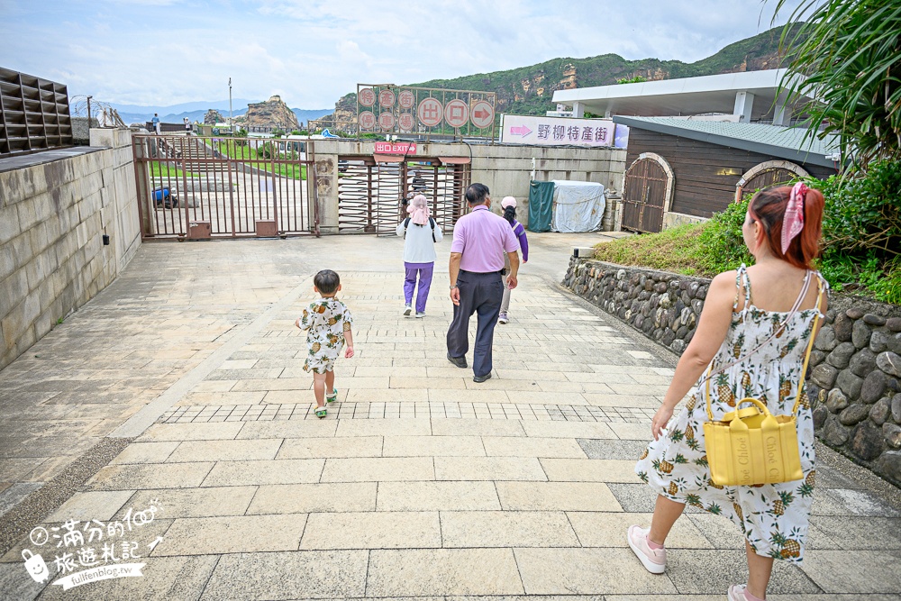 【2025野柳地質公園】最新門票資訊＆玩樂攻略.萬里必拍野柳女王頭,鬼斧神功~大自然的手作藝術品!