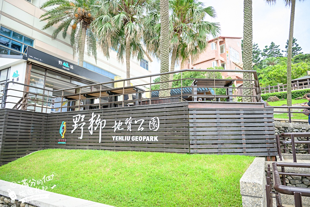 【2025野柳地質公園】最新門票資訊＆玩樂攻略.萬里必拍野柳女王頭,鬼斧神功~大自然的手作藝術品!