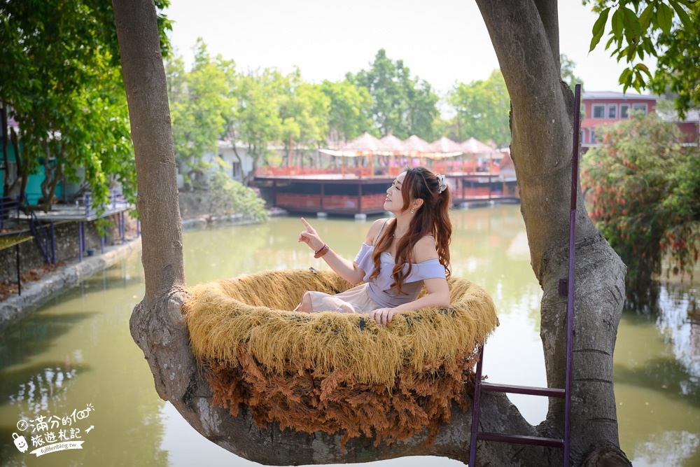 【2025全台花旗木景點推薦】TOP7人氣花旗木賞花秘境,最浪漫的四月泰國櫻花!