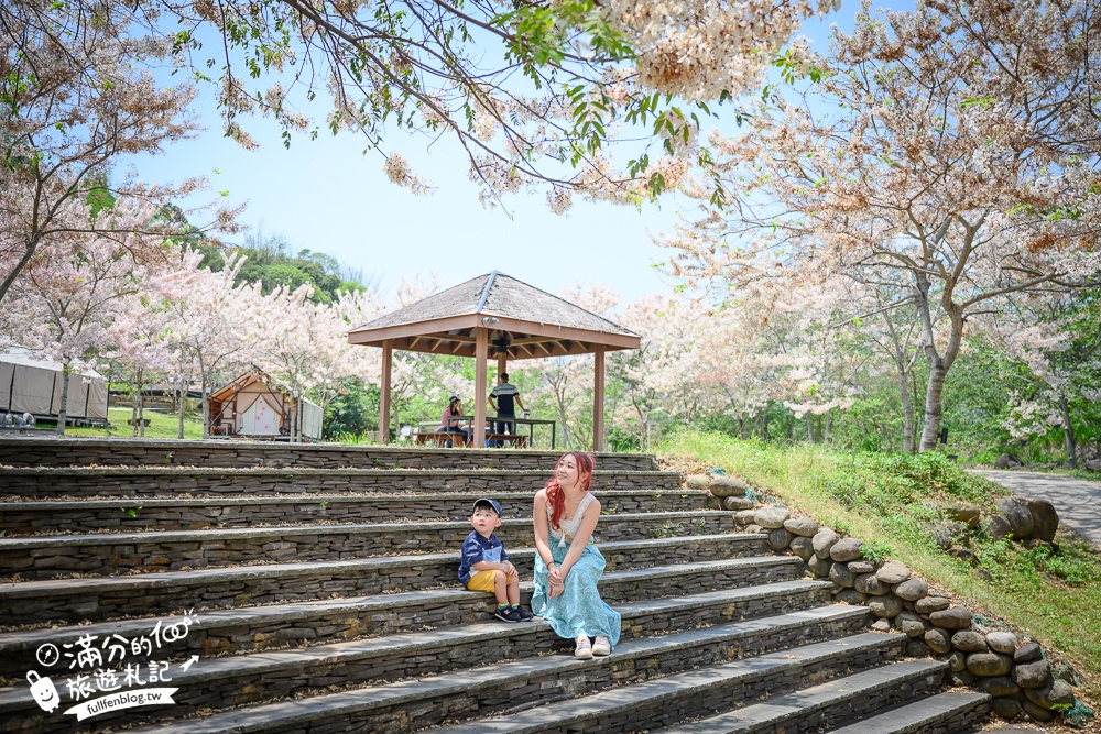 【2025全台花旗木景點推薦】TOP7人氣花旗木賞花秘境,最浪漫的四月泰國櫻花!