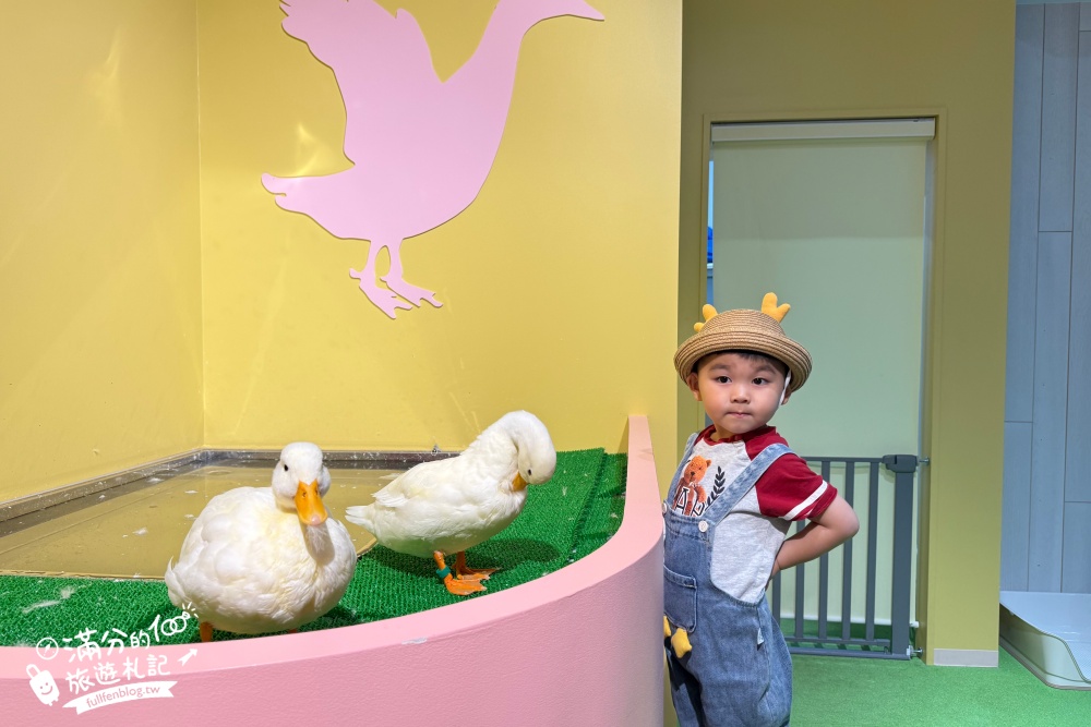 【2025沖繩DMM Kariyushi水族館】最新門票&玩樂攻略,餵企鵝.餵樹懶.摸鯊魚,拍海蝕洞,逛iias 沖繩豐崎,沖繩全室內親子水族館帶你玩!
