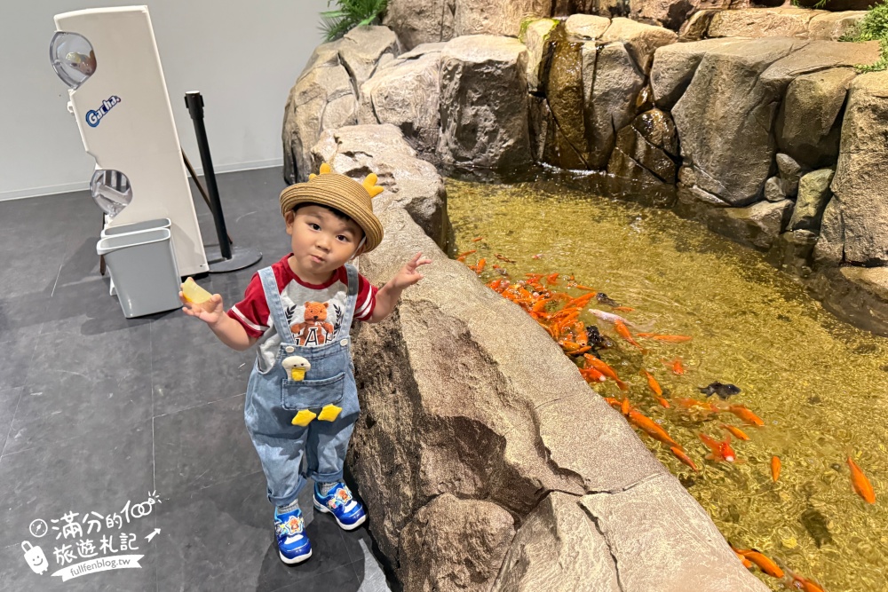 【2025沖繩DMM Kariyushi水族館】最新門票&玩樂攻略,餵企鵝.餵樹懶.摸鯊魚,拍海蝕洞,逛iias 沖繩豐崎,沖繩全室內親子水族館帶你玩!