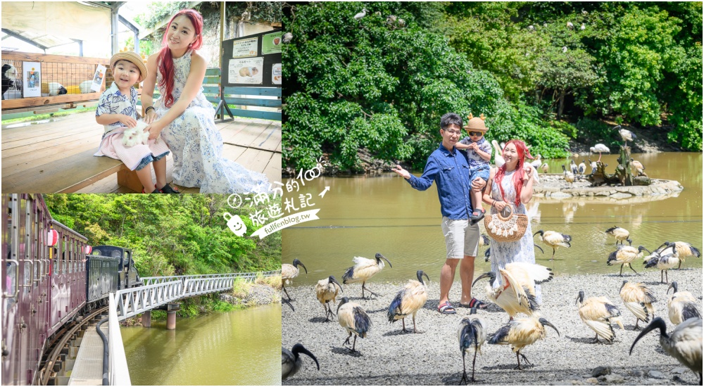 【沖繩名護自然動植物公園】沖繩必玩親子景點.搭小火車探索小亞馬遜河,與群鳥合影超震撼! @滿分的旅遊札記