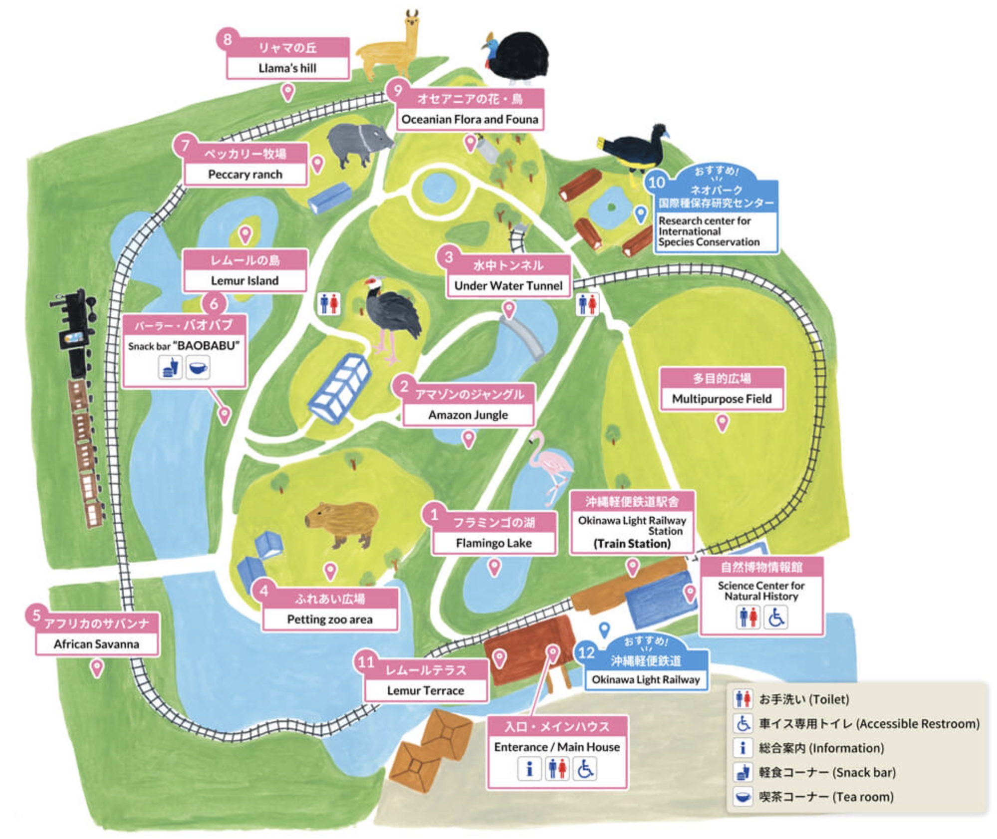 【沖繩名護自然動植物公園】沖繩必玩親子景點.搭小火車探索小亞馬遜河,與群鳥合影超震撼!
