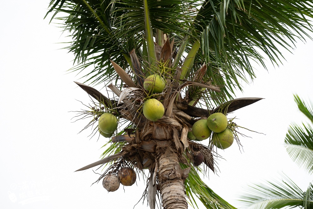 屏東新景點【Coconut Coast椰海·漫漫】枋山最新景觀餐廳.濃濃巴厘島風情, 無敵海景&火車快飛通通能滿足!