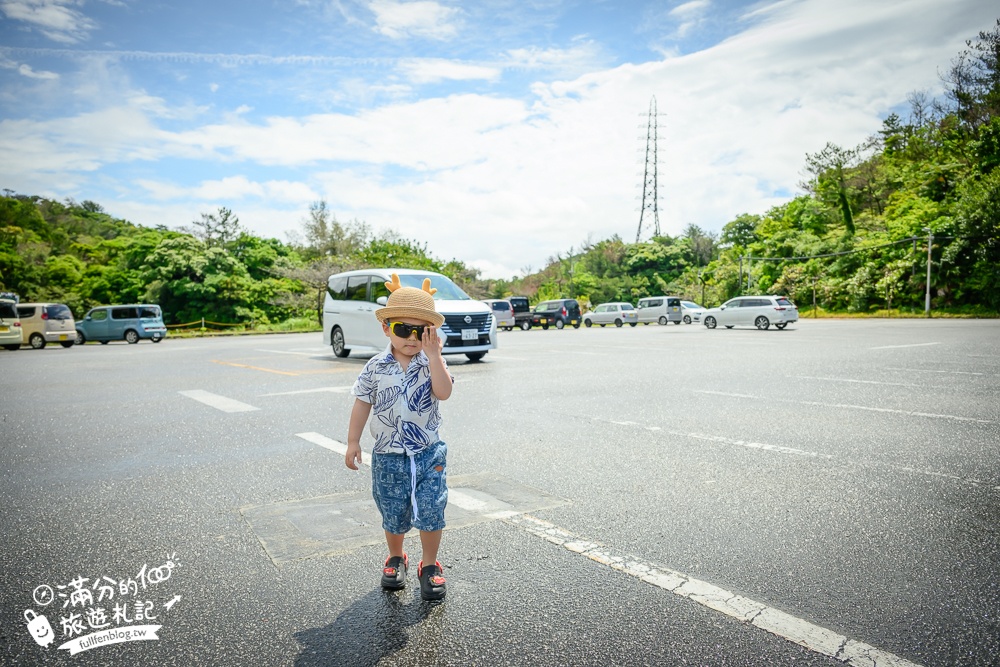 【沖繩名護自然動植物公園】沖繩必玩親子景點.搭小火車探索小亞馬遜河,與群鳥合影超震撼!