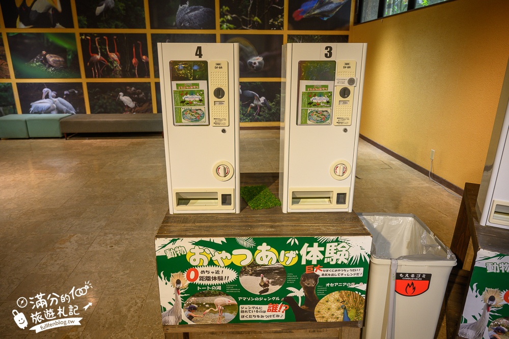【沖繩名護自然動植物公園】沖繩必玩親子景點.搭小火車探索小亞馬遜河,與群鳥合影超震撼!
