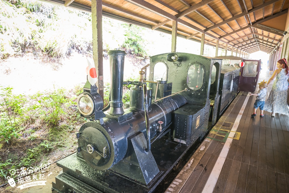 【沖繩名護自然動植物公園】沖繩必玩親子景點.搭小火車探索小亞馬遜河,與群鳥合影超震撼!