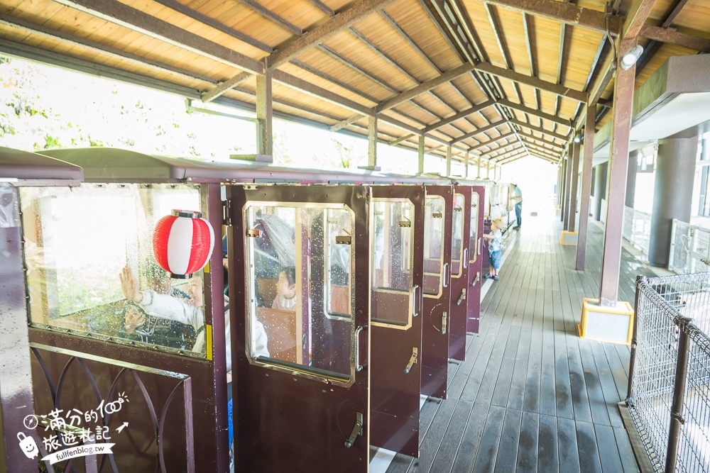 【沖繩名護自然動植物公園】沖繩必玩親子景點.搭小火車探索小亞馬遜河,與群鳥合影超震撼!