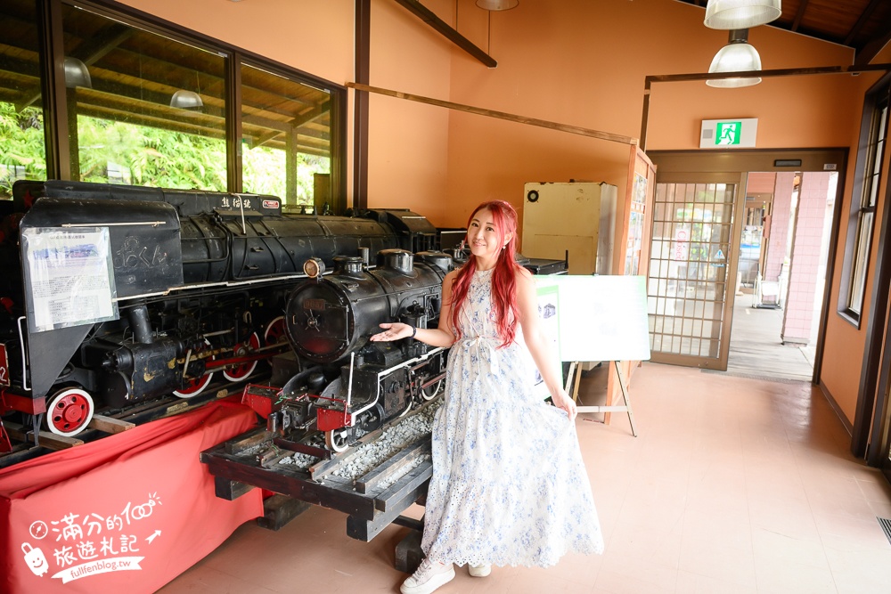 【沖繩名護自然動植物公園】沖繩必玩親子景點.搭小火車探索小亞馬遜河,與群鳥合影超震撼!