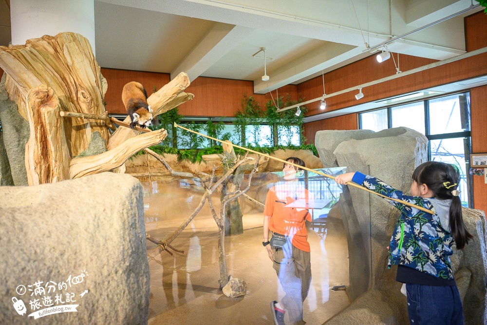 【沖繩名護自然動植物公園】沖繩必玩親子景點.搭小火車探索小亞馬遜河,與群鳥合影超震撼!