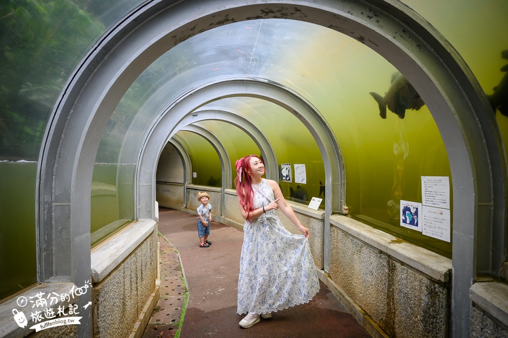 【沖繩名護自然動植物公園】沖繩必玩親子景點.搭小火車探索小亞馬遜河,與群鳥合影超震撼!