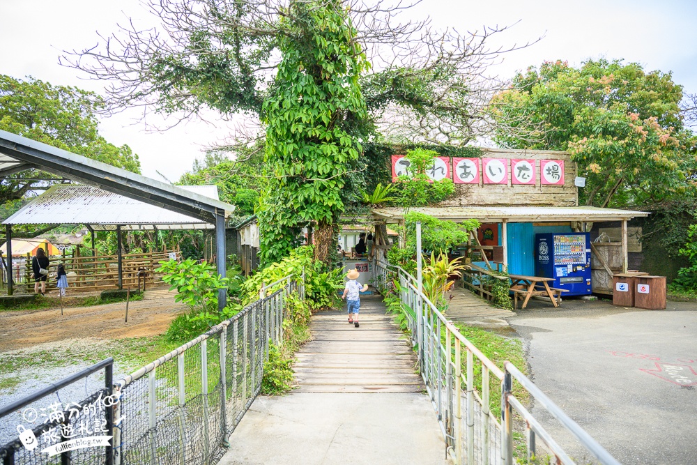【沖繩名護自然動植物公園】沖繩必玩親子景點.搭小火車探索小亞馬遜河,與群鳥合影超震撼!