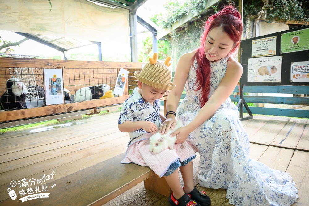 【沖繩名護自然動植物公園】沖繩必玩親子景點.搭小火車探索小亞馬遜河,與群鳥合影超震撼!