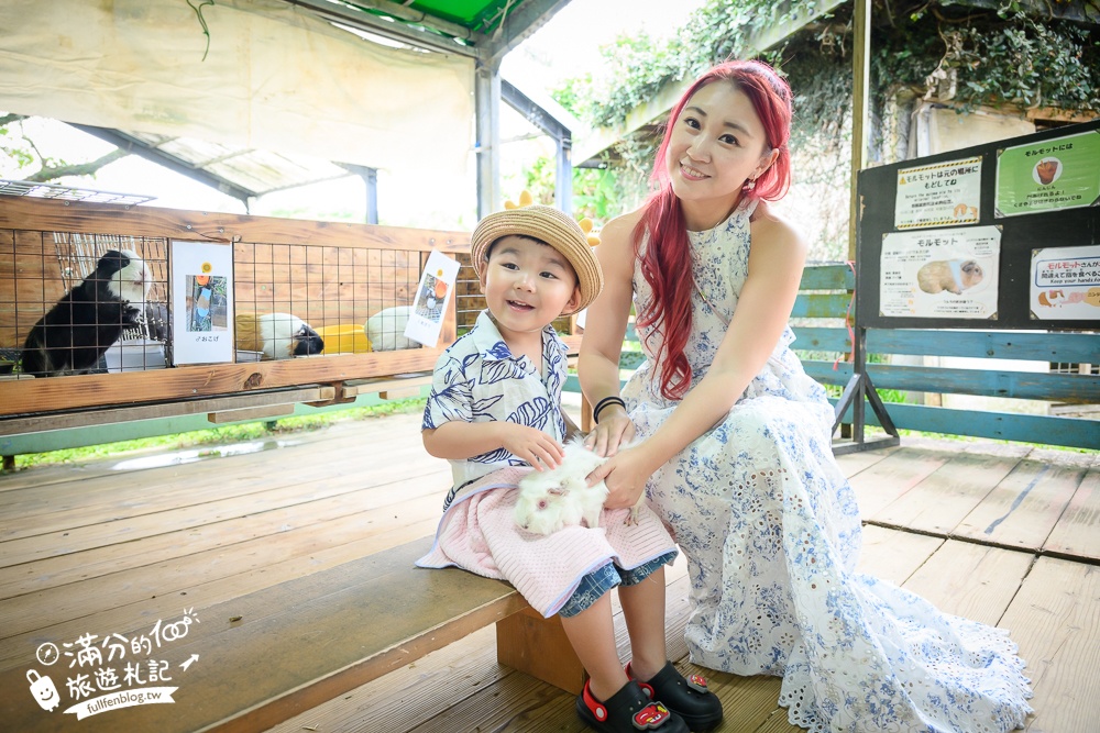 【沖繩名護自然動植物公園】沖繩必玩親子景點.搭小火車探索小亞馬遜河,與群鳥合影超震撼!