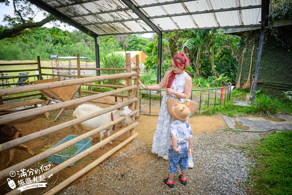 【沖繩名護自然動植物公園】沖繩必玩親子景點.搭小火車探索小亞馬遜河,與群鳥合影超震撼!
