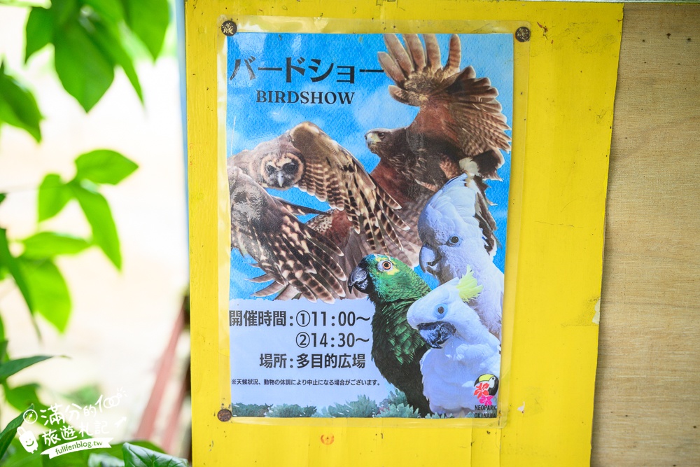 【沖繩名護自然動植物公園】沖繩必玩親子景點.搭小火車探索小亞馬遜河,與群鳥合影超震撼!