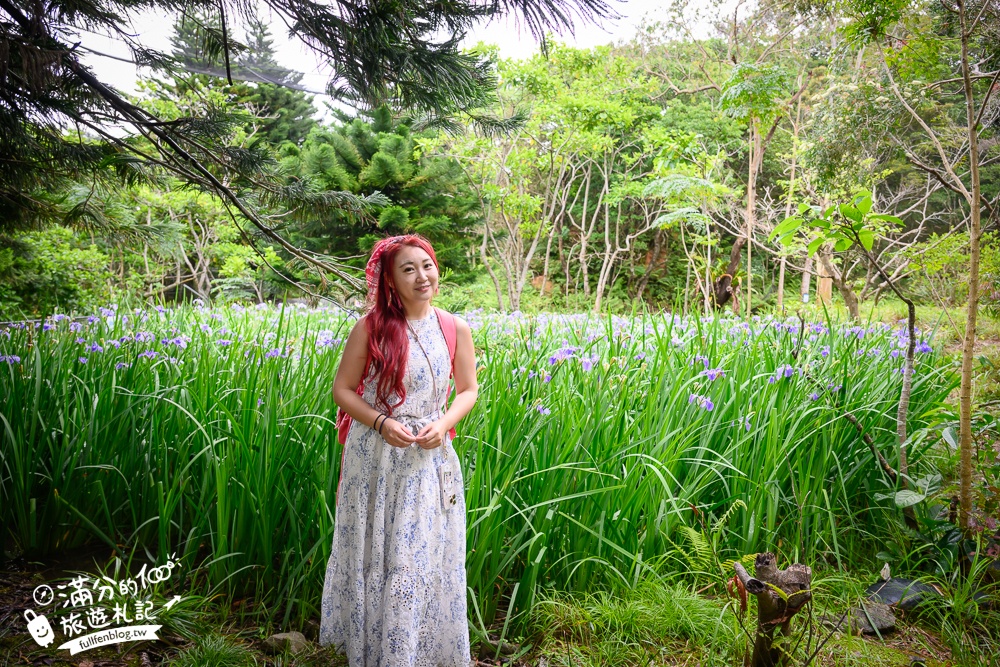 【沖繩名護自然動植物公園】沖繩必玩親子景點.搭小火車探索小亞馬遜河,與群鳥合影超震撼!