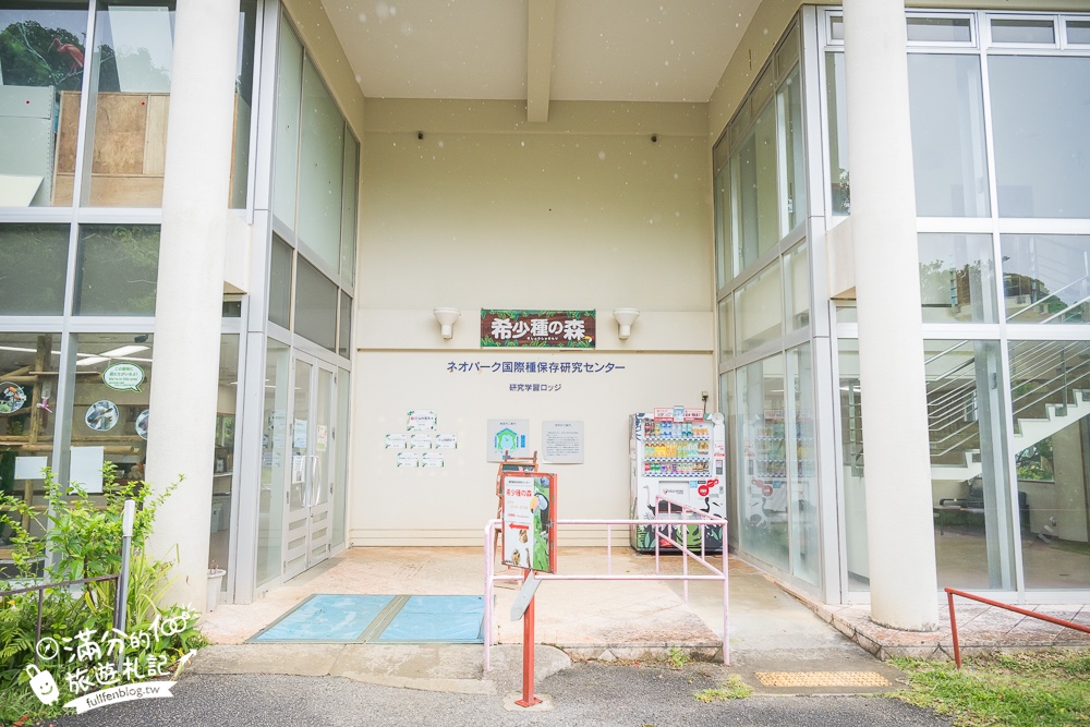 【沖繩名護自然動植物公園】沖繩必玩親子景點.搭小火車探索小亞馬遜河,與群鳥合影超震撼!