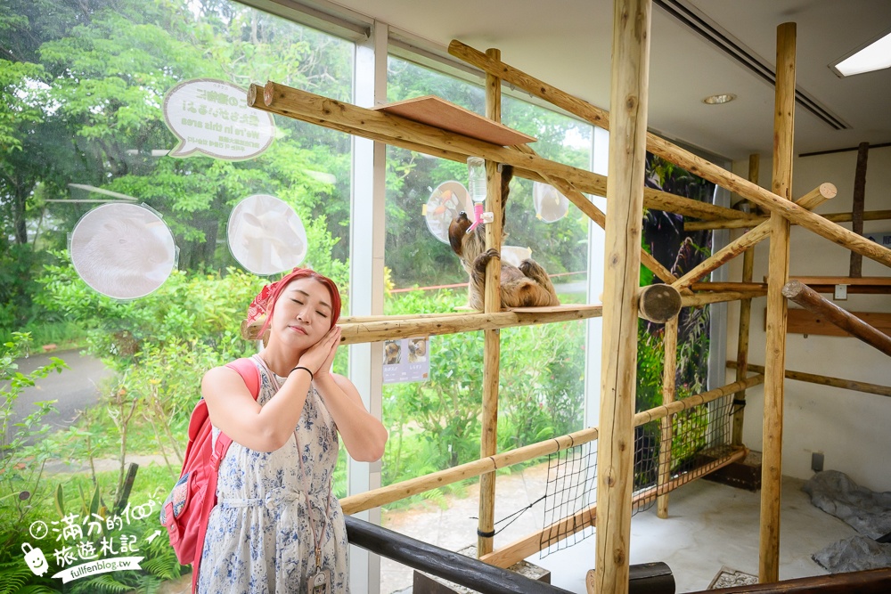 【沖繩名護自然動植物公園】沖繩必玩親子景點.搭小火車探索小亞馬遜河,與群鳥合影超震撼!