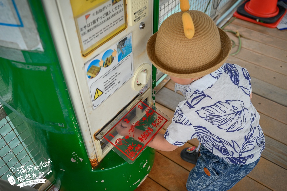 【沖繩玻璃底遊艇體驗】名護部瀬名海中公園親子必玩!搭鯨魚遊艇,換個視角看海底世界,還能同時餵魚超好玩!