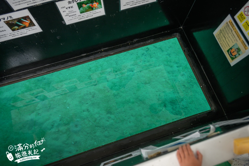 【沖繩玻璃底遊艇體驗】名護部瀬名海中公園親子必玩!搭鯨魚遊艇,換個視角看海底世界,還能同時餵魚超好玩!