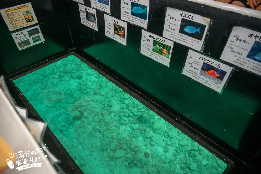 【沖繩玻璃底遊艇體驗】名護部瀬名海中公園親子必玩!搭鯨魚遊艇,換個視角看海底世界,還能同時餵魚超好玩!